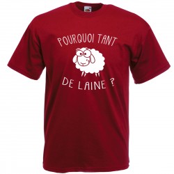 Tee shirt Pourquoi tant de...